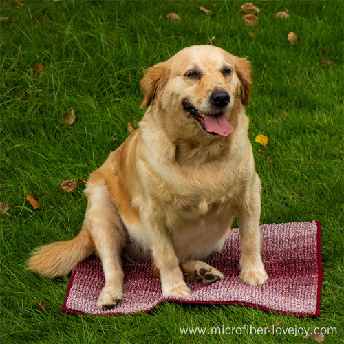 Super absorbent fiber chenille pet bath towel